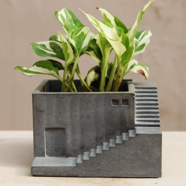 Zupppy Home Decor Plant Holder | Order Beautiful Plant Holder Online | Zupppy