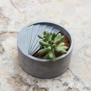 Zupppy Home Decor Plant Holder Online | Beautiful Lakesoe Product | Zupppy