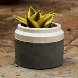 Zupppy Home Decor Modern Concrete Planter Pot for Indoor Plants