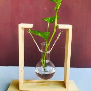 Zupppy Home Decor Glass Vase Wooden Frame Planter | Hydroponics Plant Flower