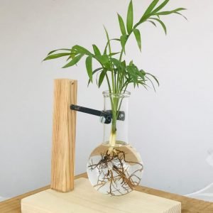 Zupppy Home Decor Hydroponic Plant Vases | Wooden and Glass Vase Planter