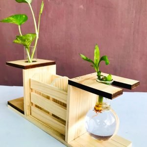 Zupppy Home Decor Wooden Frame Hydroponic Planter | Hydroponics Vase Holder
