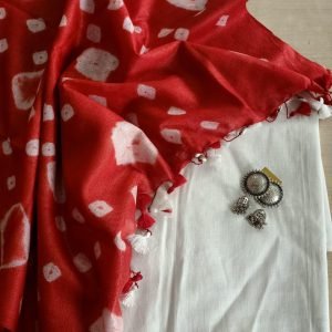 Zupppy Apparel Kota Doria printed saree with blouse