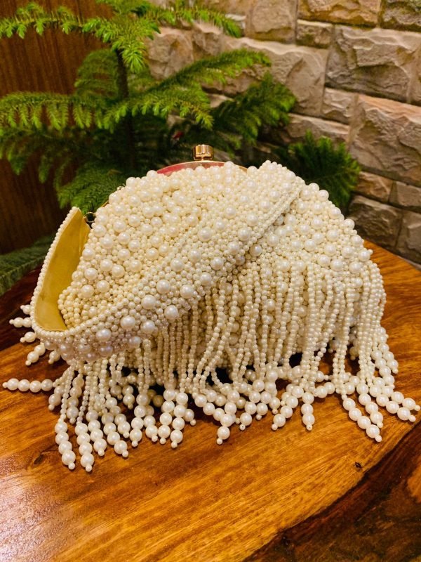 Zupppy Accessories Beads Potli Clutch