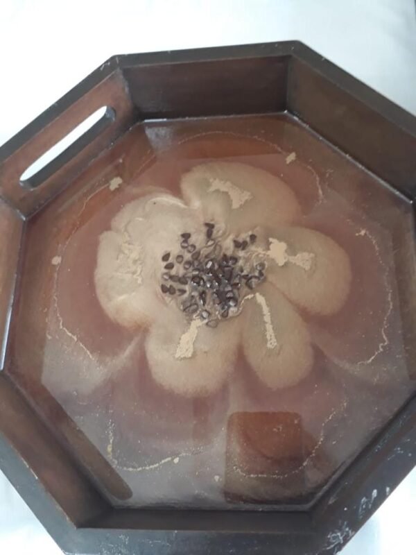 Zupppy Handmade Products Pentagon Resin Tray