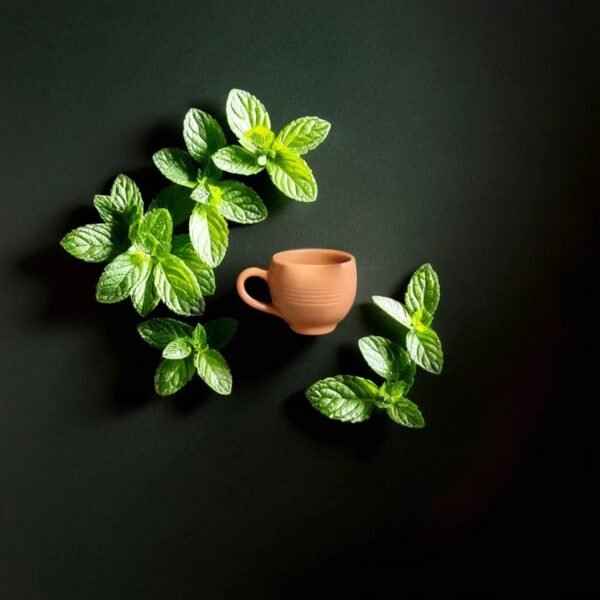 Zupppy Crockery & Utensils Handmade Organic Terracotta Clay Cup Set (Pack of 6) – Traditional Red Mitti Pottery
