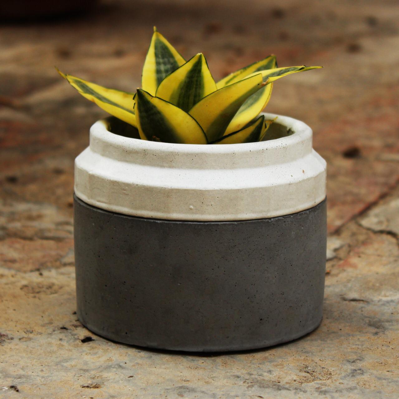 Modern Concrete Planter Pot for Indoor Plants